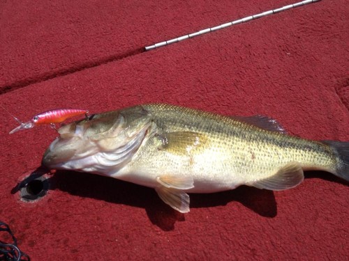 10178235_626241250792441_1484352537_n