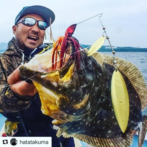 15134595_1267515469935151_6961162064147620198_n