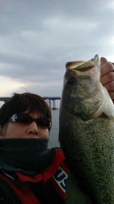 1555560_566010660147747_571190618_n