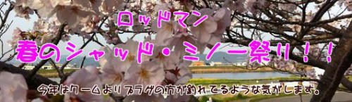 3eOCE5z4umd4ifG1364205416_1364205764