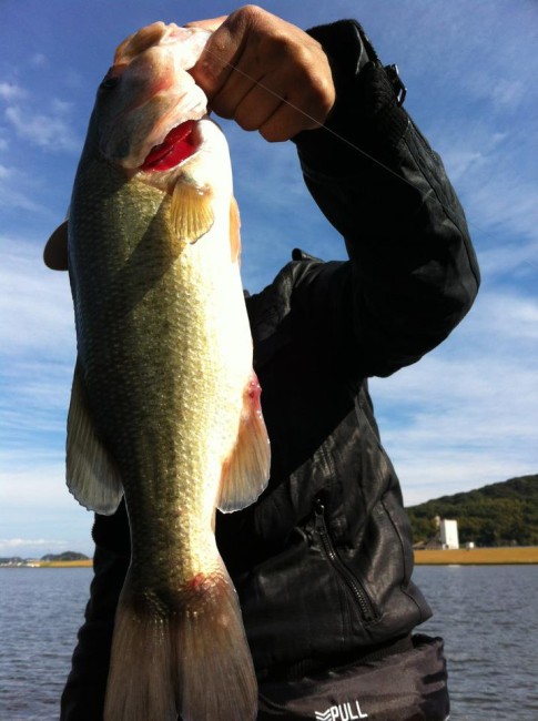 576317_371229002956920_1695426045_n