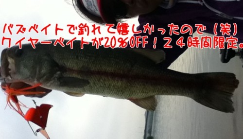 AwZahhd7QIwSFDW1375173047_1375173277