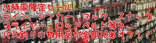 IPv1VM5eHLudKl31458634798_1458634983