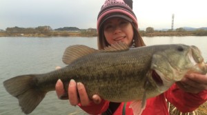 RfUaIBv_aWDXl8M1386825479_1386825533