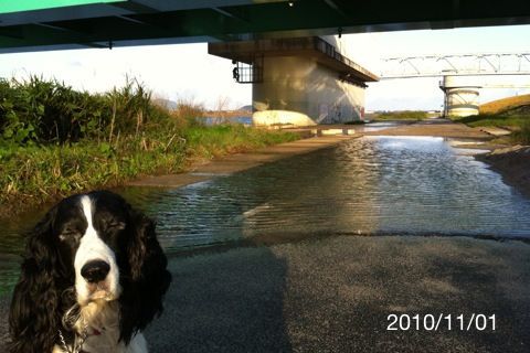 Photo 11月 01, 7 36 47