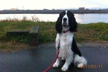 バス釣りならロッドマン　今日の遠賀川（おんががわ）・入荷情報も。