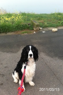 バス釣りならロッドマン　今日の遠賀川（おんががわ）・入荷情報も。