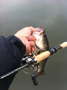 バス釣りならロッドマン　今日の遠賀川（おんががわ）・入荷情報も。