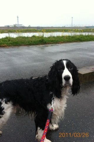 バス釣りならロッドマン 今日の遠賀川(おんががわ)・入荷情報も。