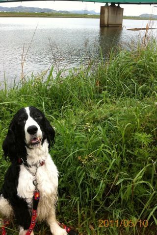 バス釣りならロッドマン 今日の遠賀川(おんががわ)・入荷情報も。