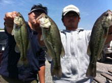 バス釣りならロッドマン　今日の遠賀川（おんががわ）・入荷情報も。