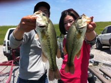 バス釣りならロッドマン　今日の遠賀川（おんががわ）・入荷情報も。