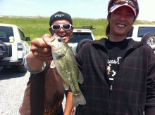 バス釣りならロッドマン　今日の遠賀川（おんががわ）・入荷情報も。