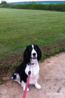 バス釣りならロッドマン　今日の遠賀川（おんががわ）・入荷情報も。