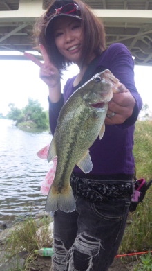 バス釣りならロッドマン　今日の遠賀川（おんががわ）・入荷情報も。