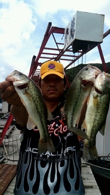 バス釣りならロッドマン　今日の遠賀川（おんががわ）・入荷情報も。