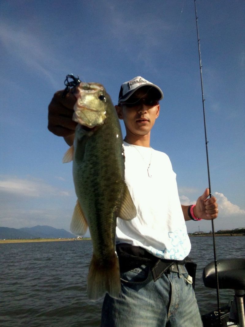 今度はテキサス カバー打ち バス釣りならロッドマン 今日の遠賀川 おんががわ 入荷情報も