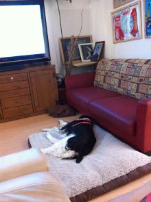 バス釣りならロッドマン　今日の遠賀川（おんががわ）・入荷情報も。