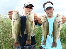 バス釣りならロッドマン　今日の遠賀川（おんががわ）・入荷情報も。