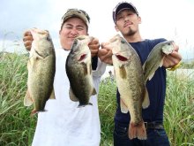 バス釣りならロッドマン　今日の遠賀川（おんががわ）・入荷情報も。