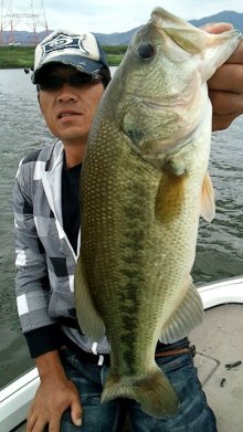 バス釣りならロッドマン　今日の遠賀川（おんががわ）・入荷情報も。