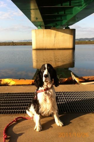 バス釣りならロッドマン 今日の遠賀川(おんががわ)・入荷情報も。