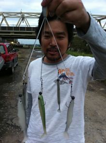 バス釣りならロッドマン　今日の遠賀川（おんががわ）・入荷情報も。