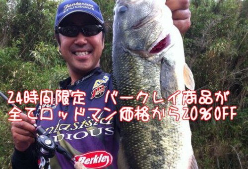 lb1f_xgimlZ_Is21369732258_1369732410