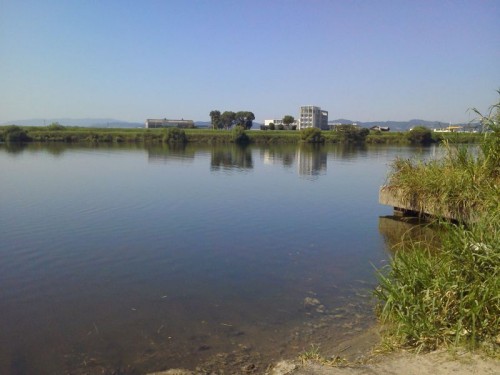 o0800060012689717630