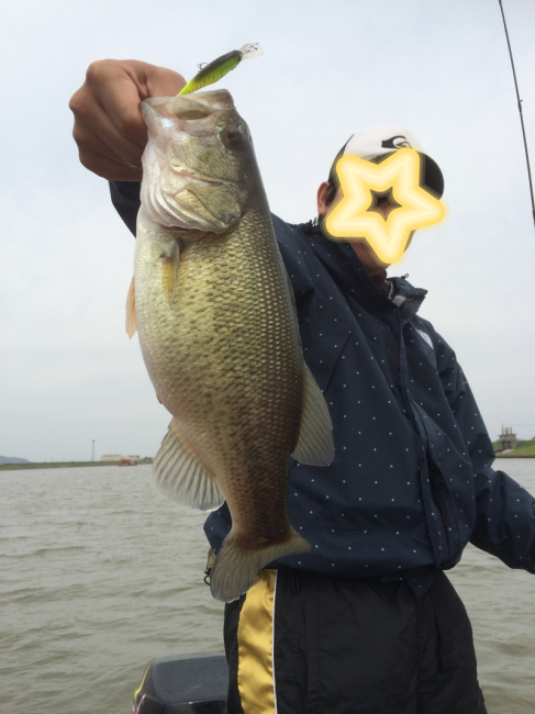 pHxUhjOHfdXrIYX1396249397_1396249501